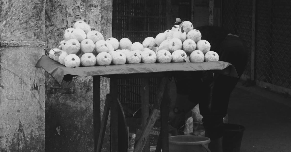 What are the 5 principles of meal planning?