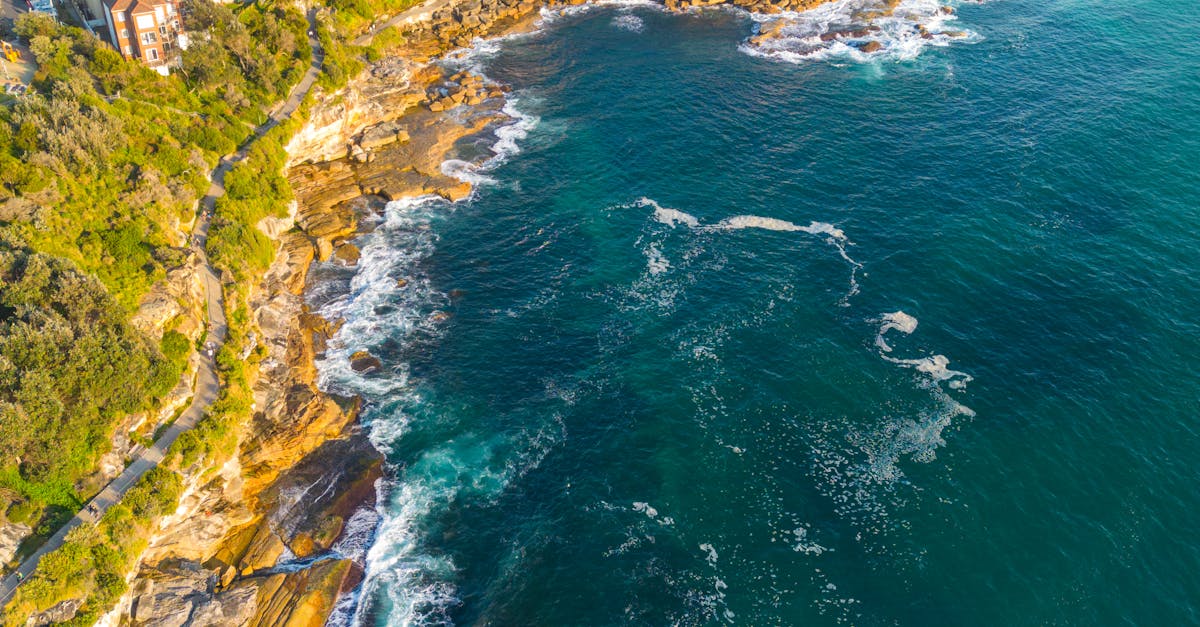 What is the goal of nutrition?